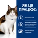 Hill’s Prescription Diet w/d Вологий корм для котів при цукровому діабеті та для контролю ваги, з куркою, 85 г х 12 шт - изображение 2