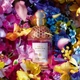 Туалетная вода унисекс Guerlain Aqua Allegoria Florabloom 75 мл (3346470148048) - изображение 4