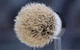 Помазок Semogue 1520 Best Bristle Shaving Brush - зображення 4