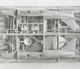 Збірна модель 1/72 реактивний літак McDonnell-Douglas AV-8B Harrier ll Hasegawa 00449 - зображення 2