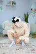 Піжама Кігурумі My Kigu Чоловіча Мопс Бежевий розмір M 155-165 см (21094411) - зображення 5