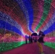 Гирлянда на 12 м., 300 LED диодов , провод гибкий прозрачный, свечение Разноцветное (8 режимов) от 220В (на елку, штору, окно, стену) - изображение 2