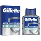 Лосьйон після гоління Gillette Series Освіжаючий Arctic Ice 100 мл - зображення 1