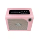 Комбоусилитель Mooer Hornet Pink - изображение 4