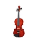 Скрипка Stentor Student Standard 1/8 (1018G) - изображение 1