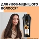 Шампунь Gliss Ultimate Repair для сильно поврежденных и сухих волос 250 мл (9000100662918/9000100801416) - изображение 2