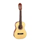Гитара классическая Cort AC50 Open Pore (With Bag) (AC50 OP w/bag) - изображение 1