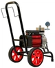Мембранный окрасочный аппарат Profter DF-1000 (3.5л./мин. 2200Вт.) - изображение 5