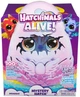 Zabawka niespodzianka Hatchimals Interactive Draco w jajku 6069282 (778988452615) - obraz 1