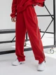 Спортивные штаны женские Alisa Line Rome XXS-XS Красные (2500000066498) - изображение 1