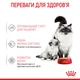 Влажный корм Royal Canin Babycat Instinctive Cans для котят и беременных кошек 195г - изображение 2