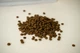 Корм Nature's Protection Superior Care Red Coat Grain Free Adult Small Breeds with Salmon сухой с лососем для собак малых пород с рыжим окрасом шерсти 10 кг - изображение 2