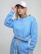 Подростковый теплый свитшот для девочки NEWGEN Катрін 24Д01-113б 176 см Голубой (2898000002753) - изображение 1