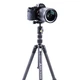 Штатив Vanguard Vesta TB 204CB (Vesta TB 204CB) - изображение 6