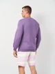 Свитшот мужской H&M 0685813_тем.фиолет XS Фиолетовый (KZ2000001530955_KAY2000001530955) - изображение 2