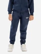 Дитячі теплі спортивні штани-джогери для хлопчика Minoti 19fleece83 41362JNR 92-98 см Темно-сині (5063025360660) - зображення 1