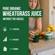 Органічний порошок соку паростків пшениці преміум-класу Triquetra Health Organic Wheatgrass Juice Powder 150 г - зображення 2