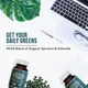 Добавка преміум-класу синьо-зелених водоростей Triquetra Health Organic Blue Green Superfood 120 таблеток - зображення 3