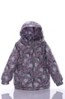 Куртка для девочки на трикотаже Babykroha с Кошечкой серая 98 см (44906) - изображение 1