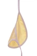 Нагрудник интерлок Babykroha 12*15 см желтый 3м+ (45073) - изображение 3