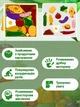 Розвиваюча іграшка деревʼяний пазл вкладиш для дітей VMHouse Продукти харчування 12 деталей настільна гра пазли Монтессорі головоломка червоний з жовтим (0084-0001) - зображення 3