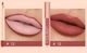 Набор 2в1 жидкая матовая помада и карандаш контурный для губ Handaiyan Lips Kit 12 - изображение 2