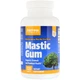 Смола мастикового дерева Jarrow Formulas Mastic Gum 500 mg 120 Tabs - изображение 1