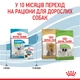 Корм Royal Canin X-Small Puppy сухой для щенков малых пород 0.5 кг - изображение 6