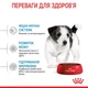 Корм Royal Canin Mini Puppy сухой для щенят мелких пород 8 кг - изображение 4