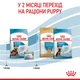 Корм Royal Canin Maxi Starter сухой для щенят крупных пород 4 кг - изображение 7