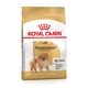 Корм Royal Canin Pomeranian Adult сухой для собак породы померанский шпиц 1.5 кг - изображение 1