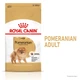Корм Royal Canin Pomeranian Adult сухой для собак породы померанский шпиц 1.5 кг - изображение 2