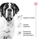 Корм Royal Canin Giant Adult сухой для взрослых собак гигантских пород 15 кг - изображение 2