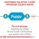 Корм Royal Canin Chihuahua Puppy сухой для щенят породы чихуахуа 0.5 кг - изображение 2