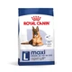 Корм Royal Canin Maxi Ageing 8+ сухий для старіючих собак великих порід 15 кг - зображення 1