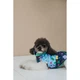 Жилет для собак Pet Fashion Grass S - изображение 7