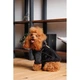 Дублянка для собак Pet Fashion Black ХS - изображение 3