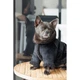 Дублянка для собак Pet Fashion Black ХS - изображение 4