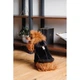 Дублянка для собак Pet Fashion Black ХS - изображение 5