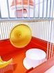 Клетка для хомяков 3002, красный, 30х23х30см - изображение 3