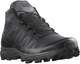 Кроссовки Salomon SPEED ASSAULT 2 47 1/3 Wolf/Wolf/Black - изображение 2