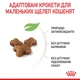 Корм Royal Canin Kitten сухой для котят 2 кг - изображение 5