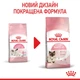 Корм Royal Canin Babycat сухой для котят до 4-х месяцев 0.4 кг - изображение 6