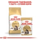 Корм Royal Canin Maine Coon сухой для взрослых котов породы мейн-кун 10 кг - изображение 6