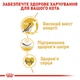 Корм Royal Canin Sphynx сухой для взрослых котов породы сфинкс 10 кг - изображение 5