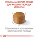 Корм Royal Canin Maine Coon Kitten сухой для котят породы мейн-кун 0.4 кг - изображение 4