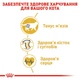 Корм Royal Canin British Shorthair сухой для взрослых котов породы британец 0.4 кг - изображение 5