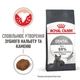 Корм Royal Canin Oral Care сухой для здоровья ротовой полости и зубов у взрослых котов 0.4 кг - изображение 3