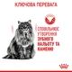 Корм Royal Canin Oral Care сухой для здоровья ротовой полости и зубов у взрослых котов 0.4 кг - изображение 6
