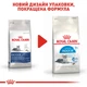 Корм Корм Royal Canin Indoor 7+ сухий для літніх котів що живуть у приміщенні 1.5 кг - зображення 7
